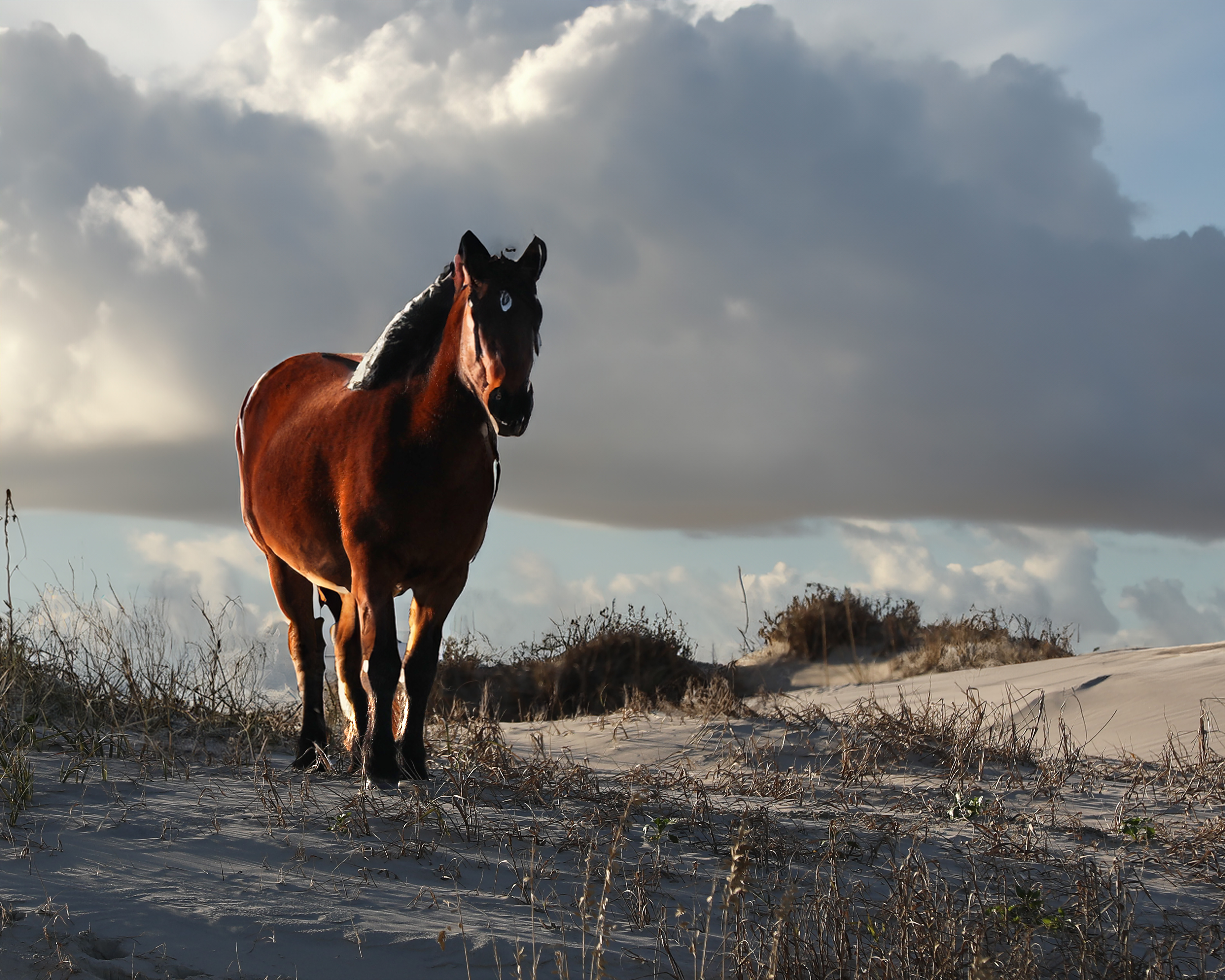 Outer Banks